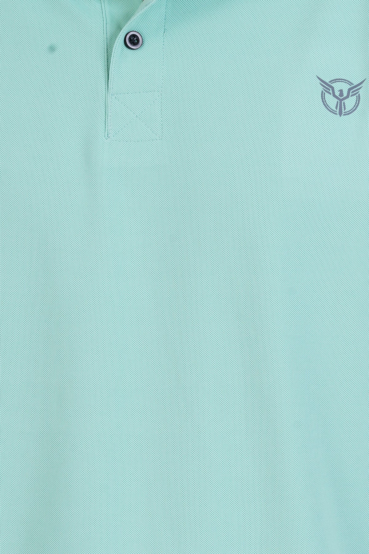 Mint Green Men Polo Gym Half T Shirt